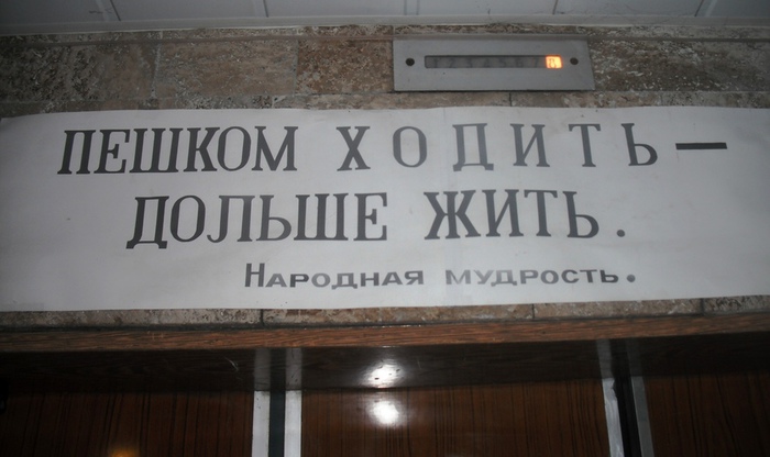 долго жить (700x416, 91Kb)
