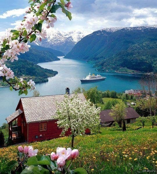мир в фотографиях Норвегия 9 (540x600, 389Kb)
