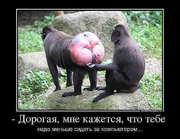 http://img0.liveinternet.ru/images/attach/d/0/129/838/129838378_3416556_image.jpg