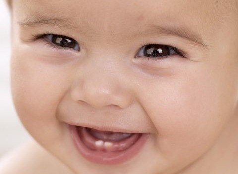6120542_494 (480x351, 21Kb)