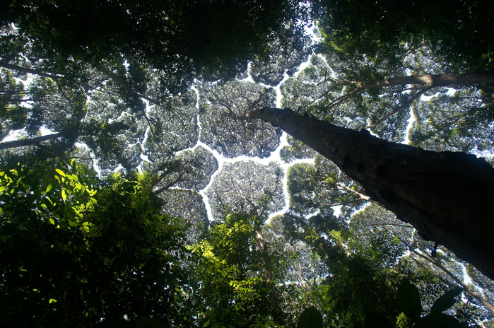 1 (700x464, 509Kb)