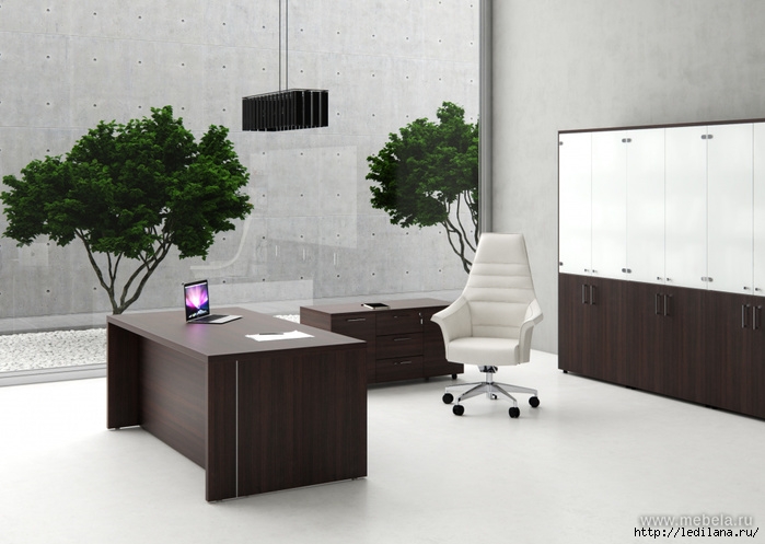 3925311_mebel_dlya_ofisa (700x497, 180Kb)