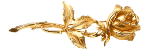 0c288b50b726b50145b6bfb3b8df79ed (304x104, 8Kb)