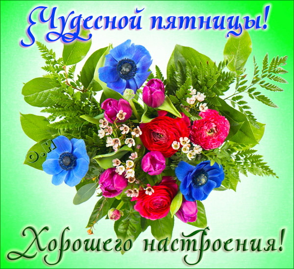 Открытки на пятницу Открытки на пятницу