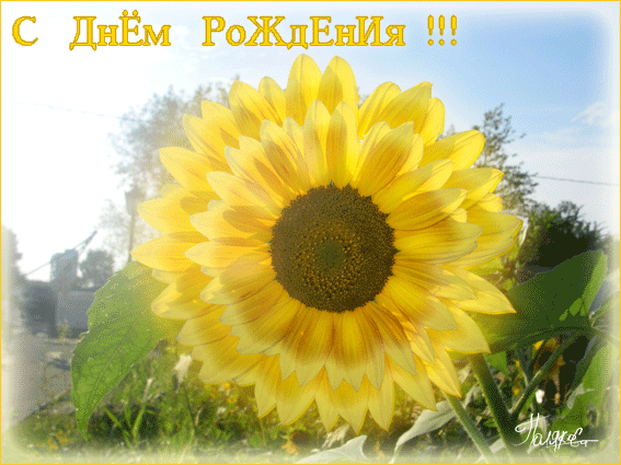 happy-birthday (9) (567x425, 1158Kb)
