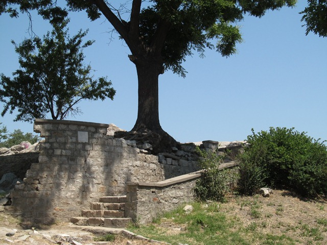 IMG_3669 a (640x480, 337Kb)