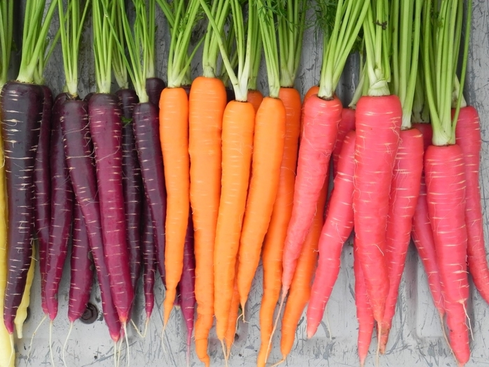 3240047_carrots_09_1_ (700x525, 285Kb)