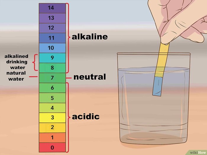 Как кислую воду сделать щёлочную Как кислую воду сделать щёлочную
