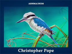5107871_Christopher_Pope (250x188, 62Kb)
