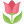 1f337 (24x24, 0Kb)