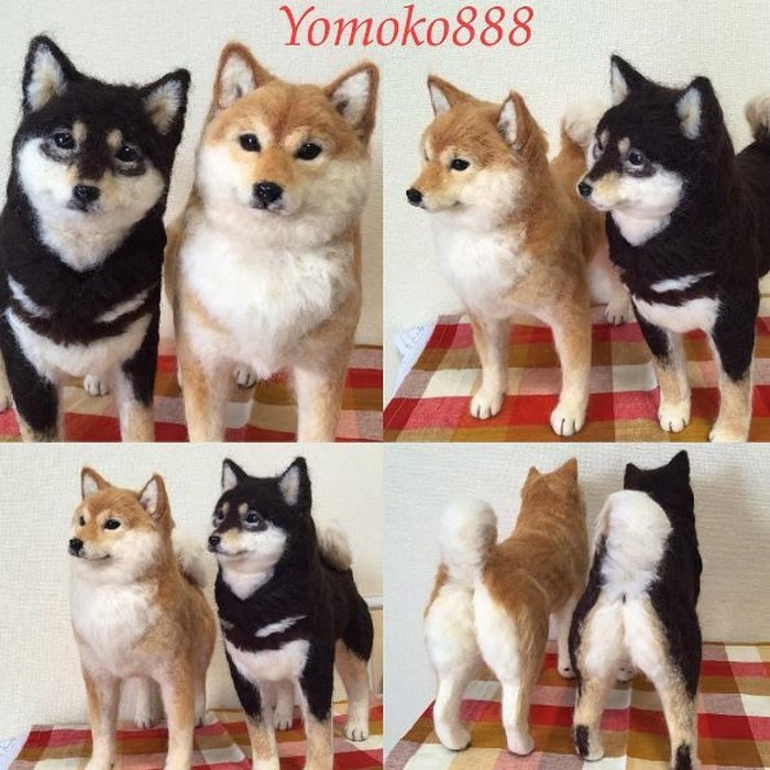 3085196_Yomoko888realanimalsnovate3 (700x700, 125Kb)