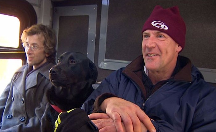 Собака-пассажир в Сиэтле ездит сама на автобусе