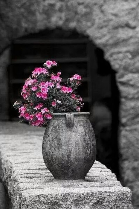 facebook_1501086365585 (465x700, 219Kb)