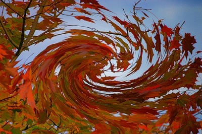 осеннее (400x266, 73Kb)