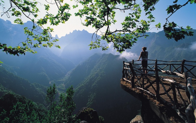 6026433_6346860R3L8T8D650hqwallpapers_ru_nature_40516_1920x1200 (650x406, 138Kb)
