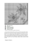  Shilkova_E_A_-_Vyshivka_po_bumage_Shkola_rukodel-060 (494x700, 240Kb)