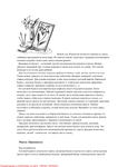  Shilkova_E_A_-_Vyshivka_po_bumage_Shkola_rukodel-073 (494x700, 191Kb)