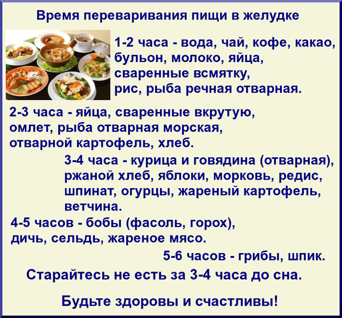 Почему долго переваривается пища 14