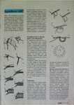  Burda_special_-_E365_Serwetki_1996-02-17 (494x700, 322Kb)