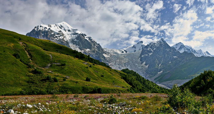 2030b (700x373, 389Kb)