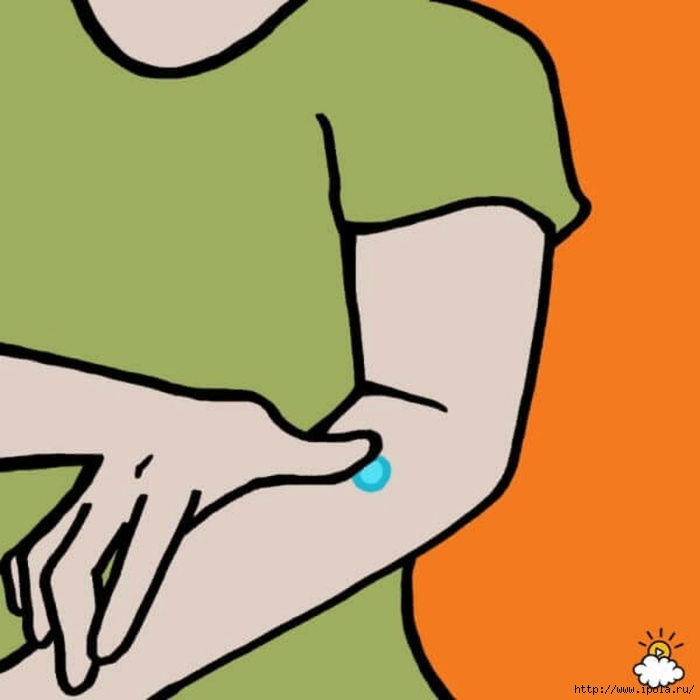 как можно снизить аппетит чтобы похудеть как можно снизить аппетит чтобы похудеть