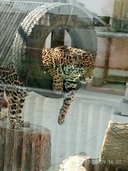 949887_P70809160050 (525x700, 269Kb)