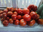  IMG_20170812_160618 (700x525, 351Kb)