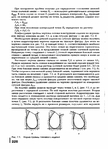 Page226 (507x700, 281Kb)