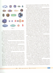  Page7 (511x700, 308Kb)
