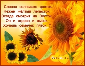 Стих солнце из цветов Стих солнце из цветов