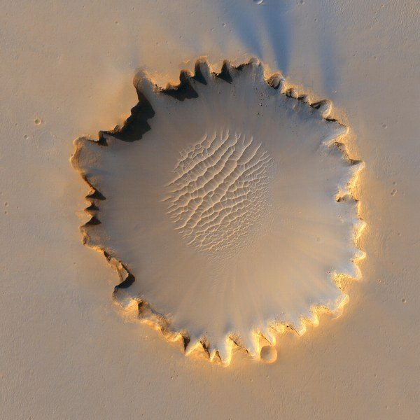 15492502_1171123159603420_6957895100154399594_n (600x600, 48Kb)