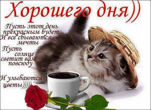 Открытки с прикольными пожеланиями хорошего дня Открытки с прикольными пожеланиями хорошего дня