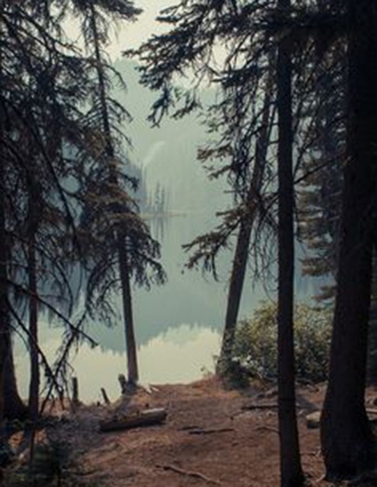 4208855_3ytwlBff05k (542x700, 214Kb)