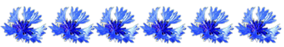 6108242_vasilki_razdelitel (284x47, 23Kb)