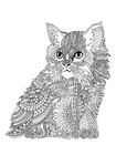 Превью antistress cat (2) (494x700, 219Kb)