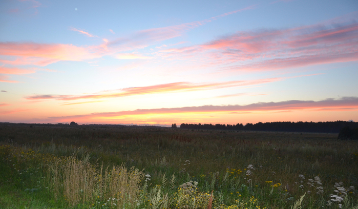 DSC_0094 (700x408, 309Kb)
