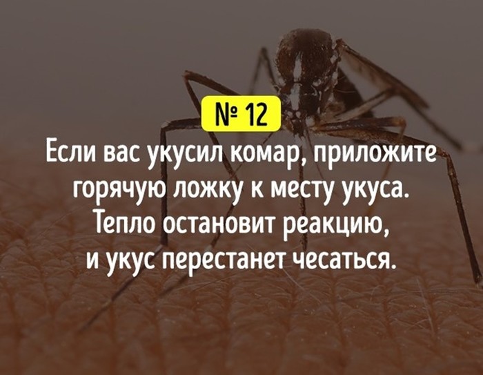 20 полезных хитростей, чтобы прокачать себя для жизни