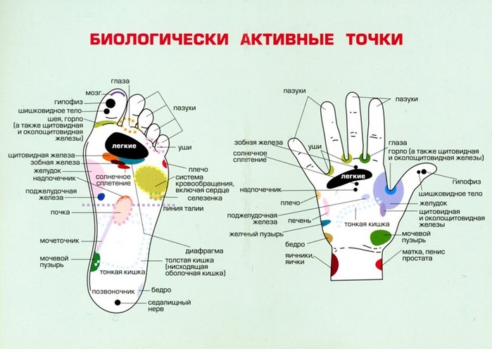 Точки акупунктуры для массажа с бальзамами