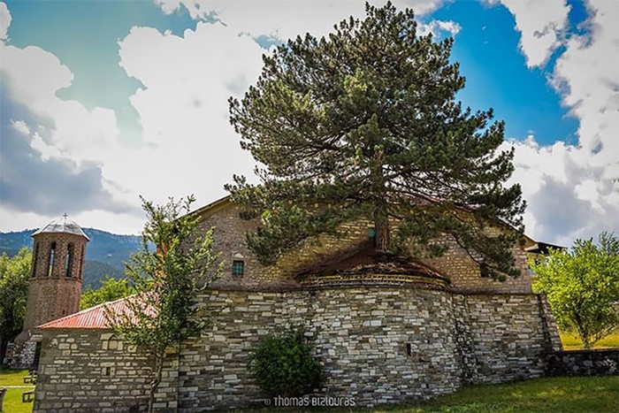 Природа взяла свое! 100-летнее дерево проросло через старую церковь