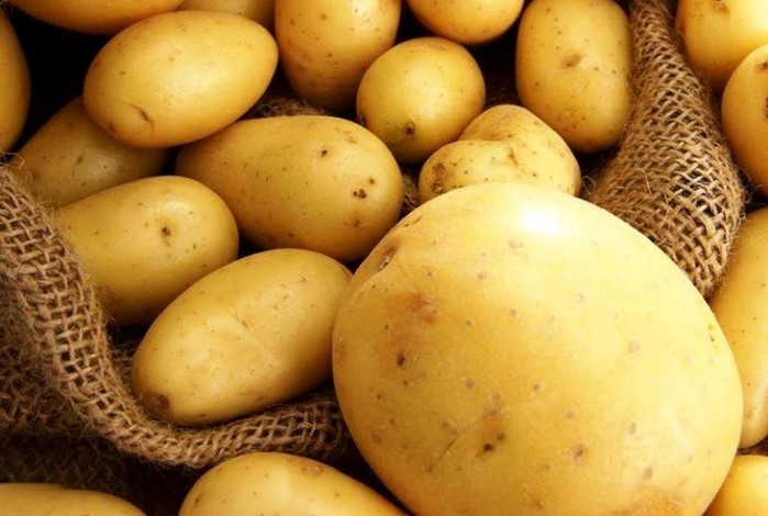 Картофельный газ: почему нельзя хранить дома картошку