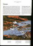  Page90 (508x700, 305Kb)