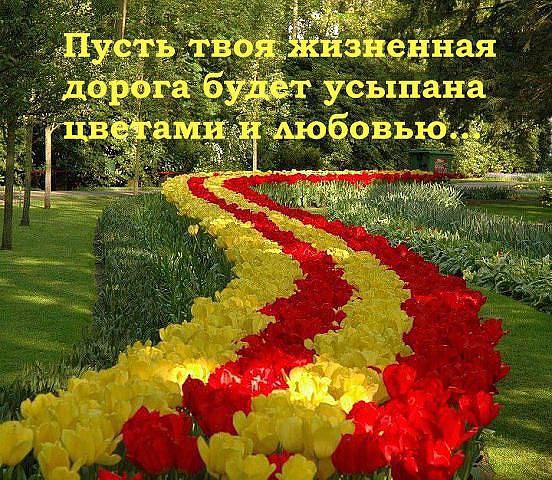 Стих солнце из цветов Стих солнце из цветов