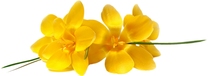 0_545e8_69add0df_XL (700x258, 144Kb)