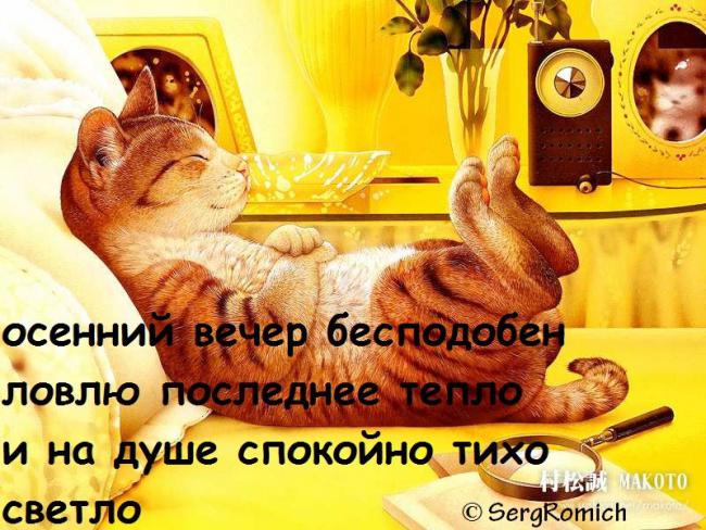 Статусы про вечера дома Статусы про вечера дома