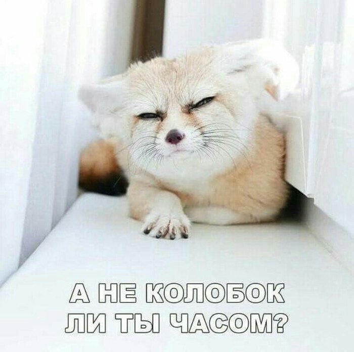 00HSEySkWAwg-k (700x696, 59Kb)