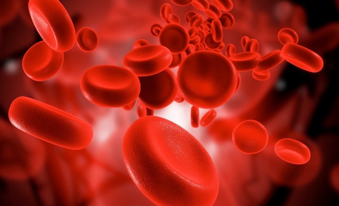 Применение крови в промышленности: самые необычные способы