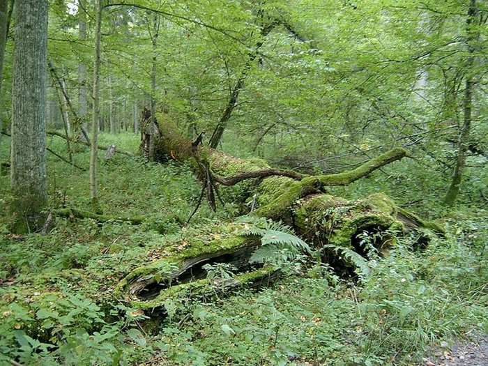 Национальный парк Цзючжайгоу