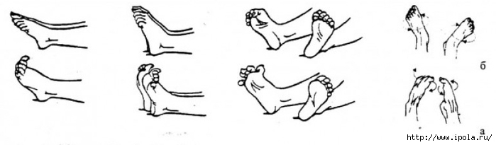 alt="Упражнения для суставов пальцев ног"/2835299_ZARYaDKA_DLYa_SYSTAVOV_PALCEV_NOG (700x205, 60Kb)