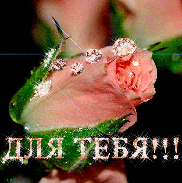 cvety-dlya-lyubimoj-2 (597x600, 477Kb)