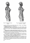  Page51 (494x700, 202Kb)